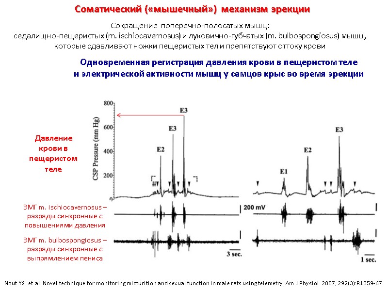 Nout YS  et al. Novel technique for monitoring micturition and sexual function in